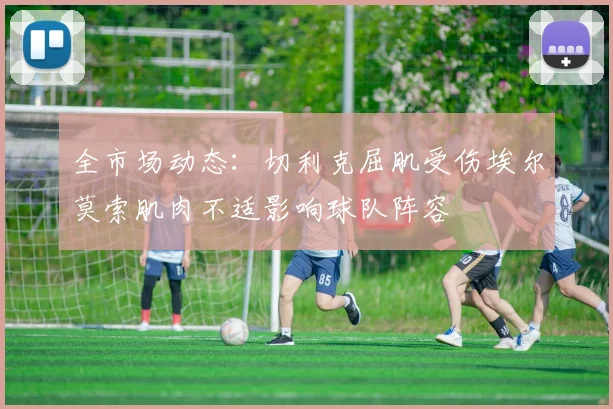 全市场动态：切利克屈肌受伤埃尔莫索肌肉不适影响球队阵容