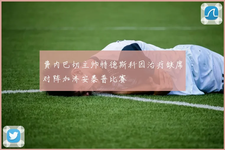 费内巴切主帅特德斯科因治疗缺席对阵加济安泰普比赛