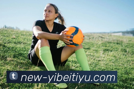 易倍体育平台生态图